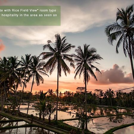 Ayu Duwur Beji Hotel Ubud Exterior foto