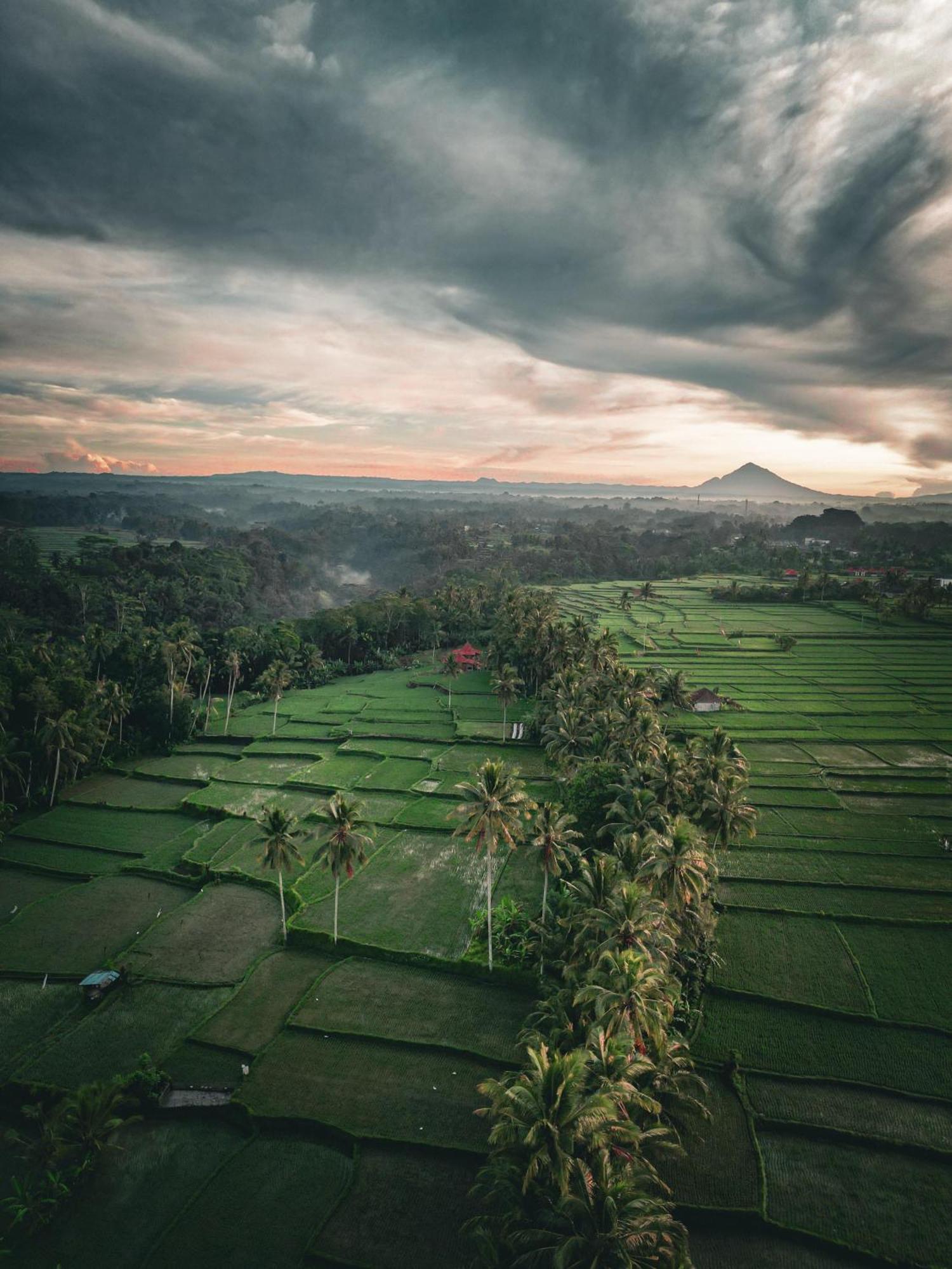 Ayu Duwur Beji Ubud Exterior foto