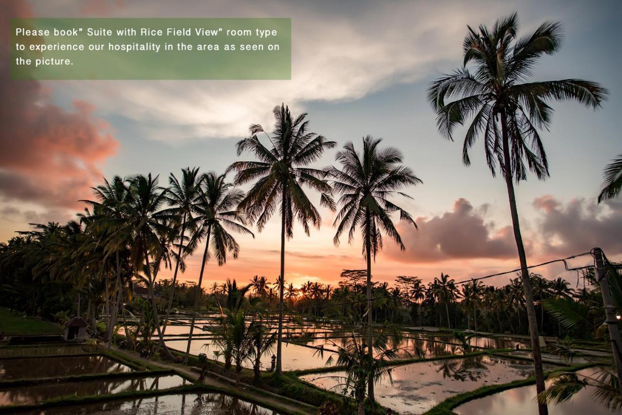 Ayu Duwur Beji Hotel Ubud Exterior foto